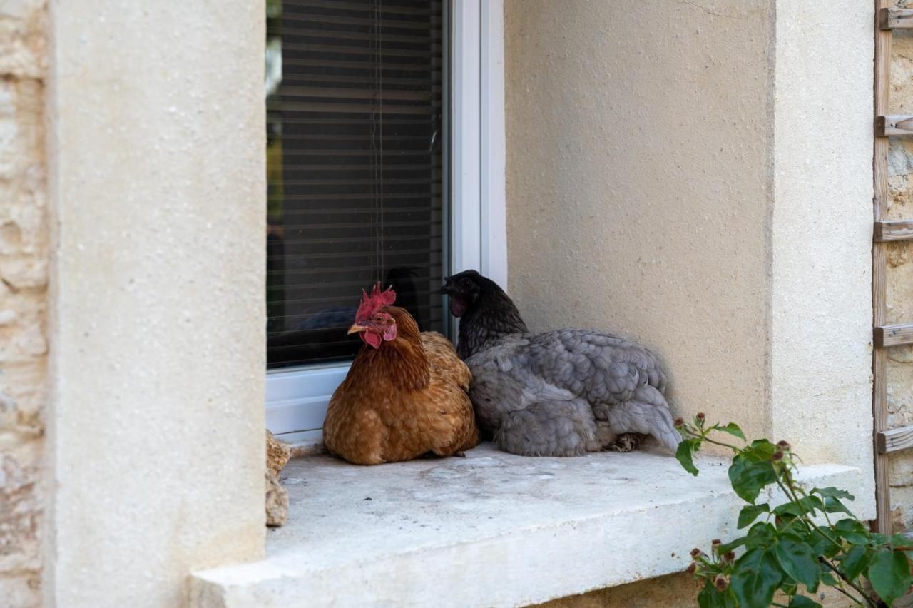 Bed and Breakfast La Fralinette Fralignes Exterior foto